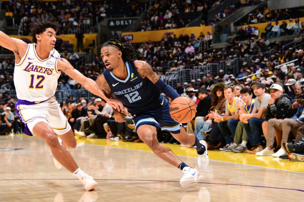 确定因素 确定因素